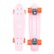 Penny 22" Skateboard Cactus Wanderlust