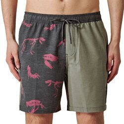 Globe Dion Agius Poolshort Forest