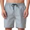 Globe Clean Swell Poolshort Steel Blue