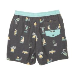 Salty Crew Island Days Elastic Boardshort
