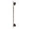 Globe Spearpoint Longboard Komplettboard Motel