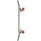 Globe Kids Enviromentalist Mini 7.0 Kids Skateboard
