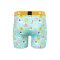 Pullin Trunk Fashion 2 Boxershort Float