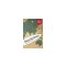 Andreas Brendt Boarderlines  CONBOOK Verlag