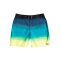 Billabong Boys Boardshort All Day Fade Black