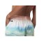 Picture Organic Clothing Napkey BRDS Shorts Chamarel