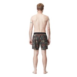 Picture Organic Clothing Piau 15 Boardshorts Cathay