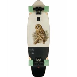 Globe Wave Blazer 31" Longboard Komplettboard Hoot Owl