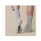 Globe Refuse Free  Crew Socks 3 Pack