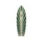 Yow Aritz Aranburu 30,5" Signature Series Surf Skate Deck 2022
