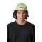 Globe LV Cap Herbal