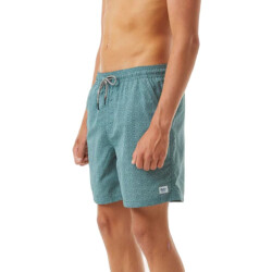 Katin Boardshorts Spiral Volley 17"
