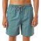 Katin Boardshorts Spiral Volley 17"