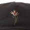 Katin Paradise Hat Black